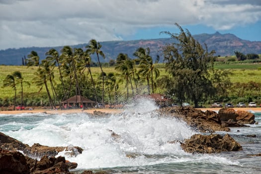 Waves on Hawaii beach panorama photo