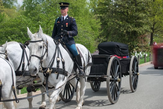WASHINGTON D.C., USA - MAY, 2 2014 - US Army marine funeral at Arlington cemetery photo