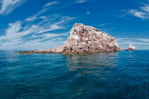 los islotes mexico espiritu santu island sea lion retreat photo