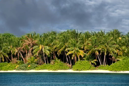 maldives tropical paradise beach crystal water coconut tree island photo