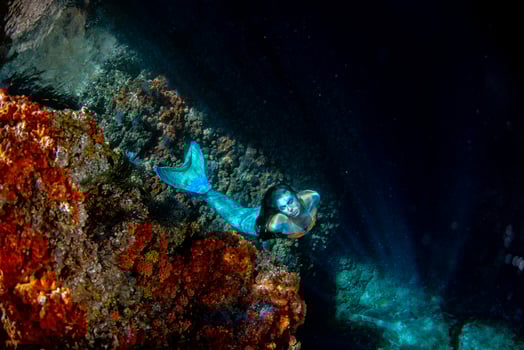 Mermaid swimming underwater in the deep blue sea photo