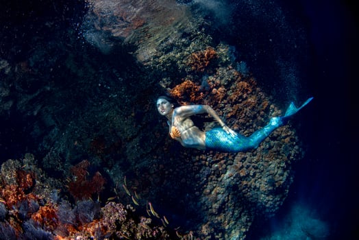 Mermaid swimming underwater in the deep blue sea photo