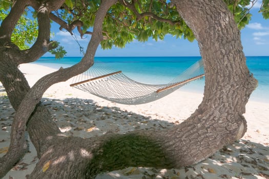 An hammock in tropical paradise turquoise water sand beach photo