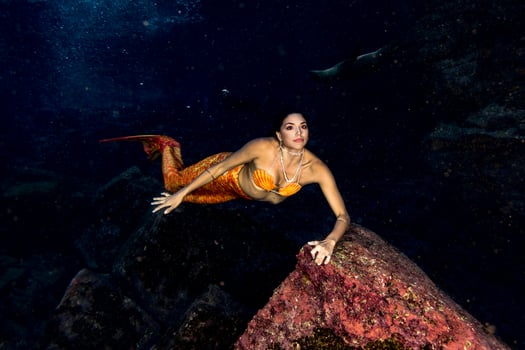 Mermaid swimming underwater in the deep blue sea photo