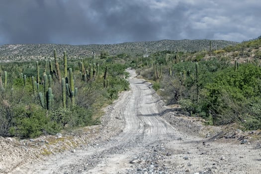4x4 offroad in baja california landscape panorama desert road photo