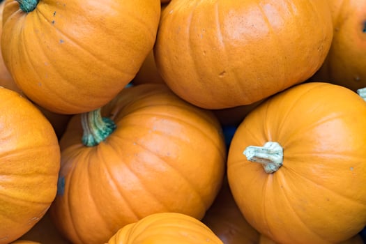 Organic Fruit and vegetables pumpkin photo