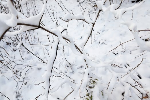 Snow drifts in winter photo