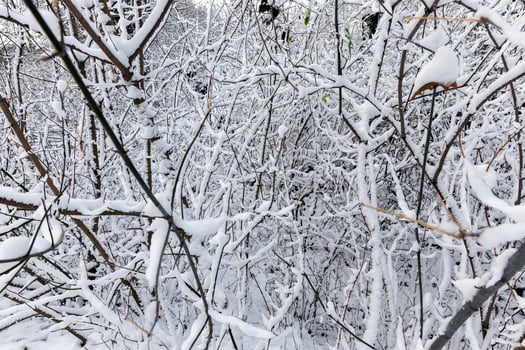 Snow drifts in winter photo