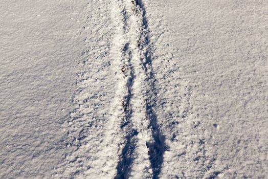 Footprints of a man photo