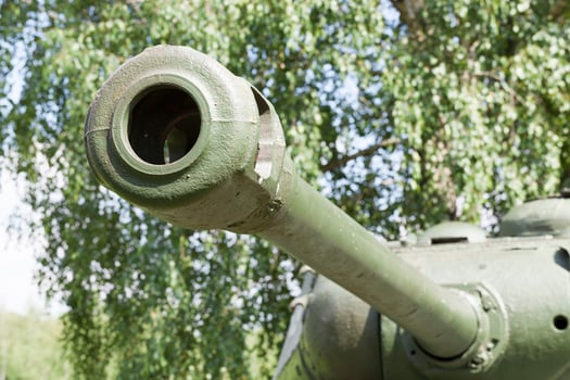 old cannon barrel photo