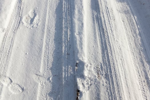 muddy road, winter photo