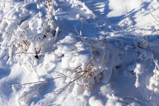 Snow covered field photo
