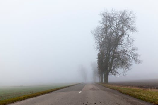 asphalted road, autumn and fog photo