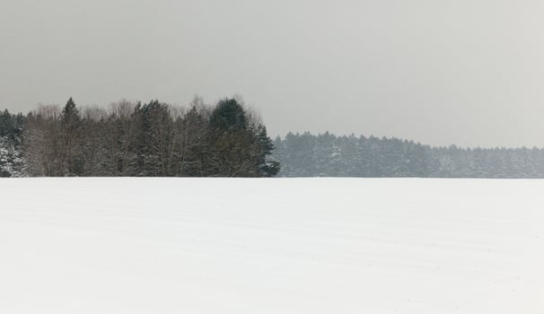 Winter landscape, snowfall photo