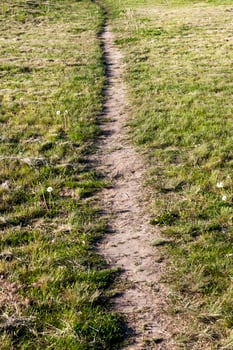 path on the lawn photo