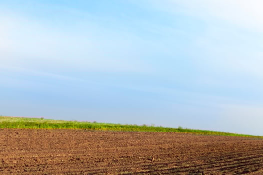 ploughed field and sky photo