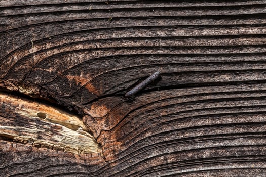 old wall of boards photo