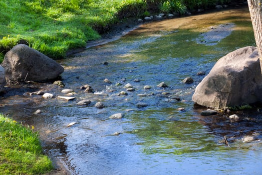 river , close up photo