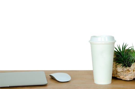 Wooden desk in office with laptop computer, white mouse, coffee tumbler and Tillandsia airplant decorate on the desk. photo