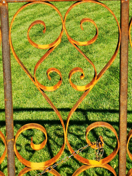 A close up of some grass photo