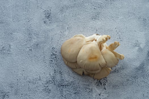 Delicious mushrooms on rustic background photo