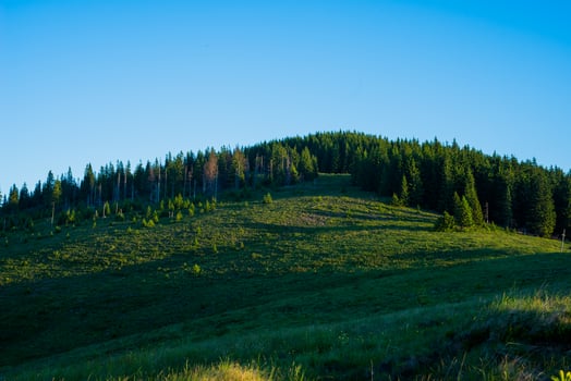 Blue sky and green hills. photo