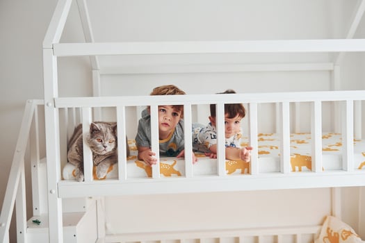 Two little boys resting and have fun indoors in the bedroom together. Cat sitting near them photo