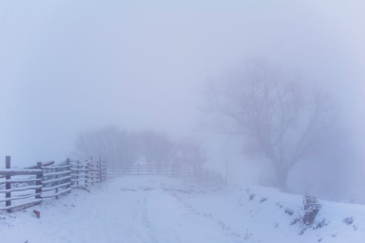 Winter landscape in mountains photo