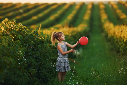 Positive little girl with red balloon in hands have fun on the field at summer day time photo