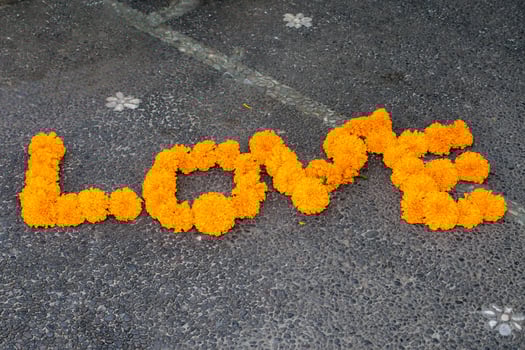 love word made by orange flower detail photo