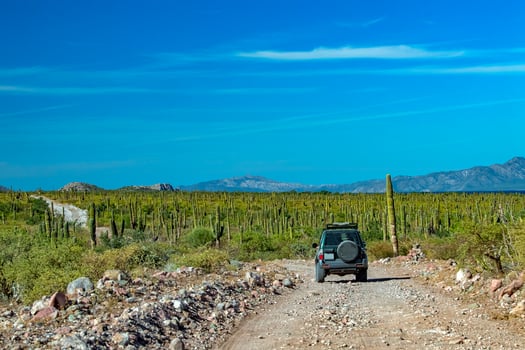 4x4 offroad in baja california landscape panorama desert road photo