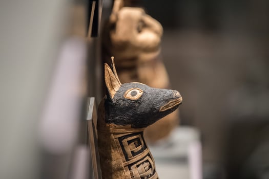 egyptian mummy dog found inside tomb photo