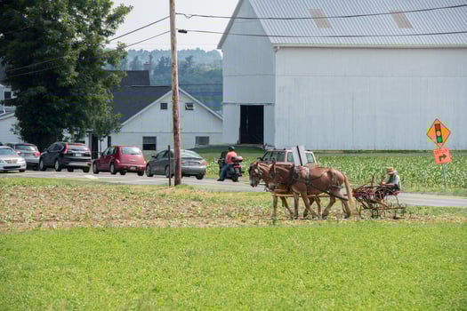 wagon buggy in lancaster pennsylvania amish country photo