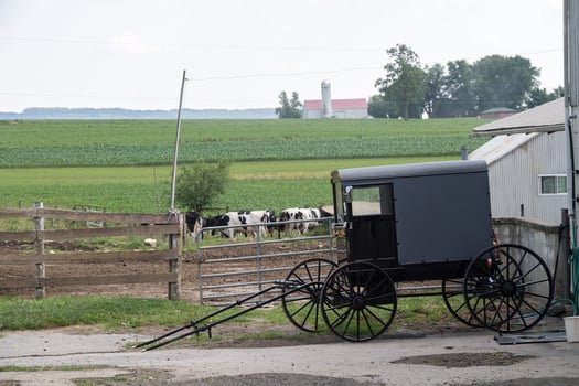 LANCASTER, USA - JUNE 25 2016 - Amish people in Pennsylvania photo