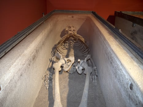 skeleton in roman marble sarchophagus photo