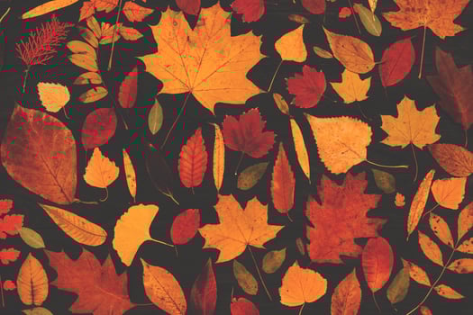 Yellow autumn maple leaves compositions. Autumn concept with red-yellow leaves background. Bright colorful leaves photo