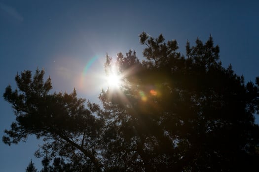 sun halo, close up photo