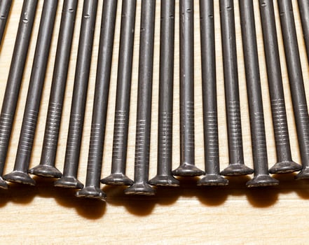 steel row nail photo