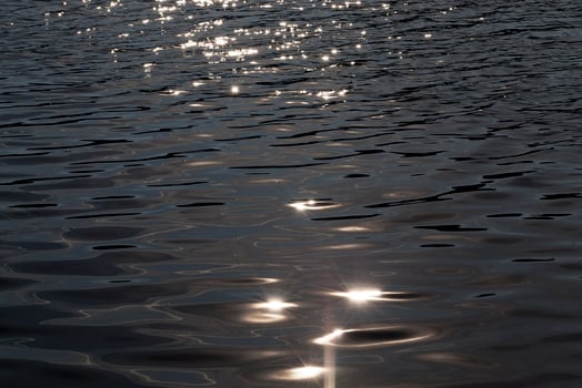 white glare, close up photo