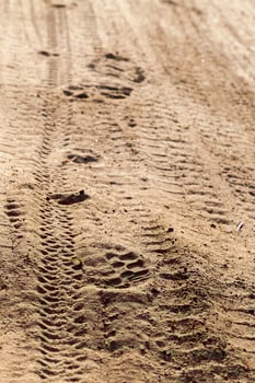 traces on the road photo