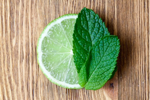 Lime and mint photo