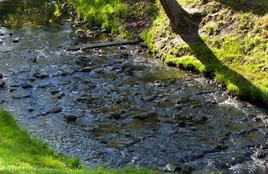 Stones in the water photo