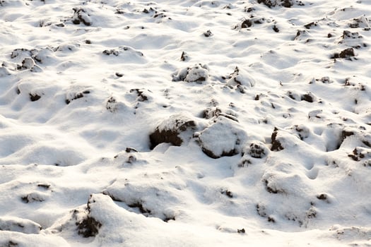 land covered with snow, close up photo