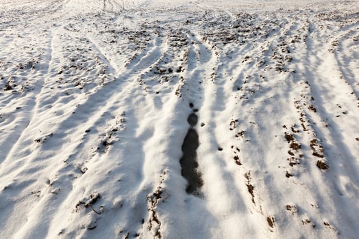 Snow drifts on the ground photo