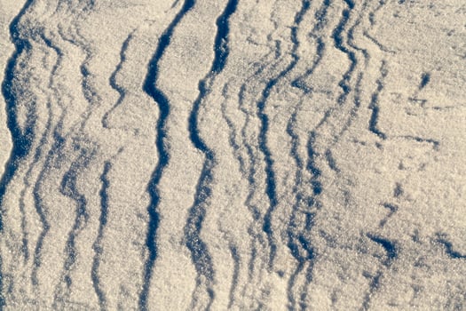 Winter season, close up photo