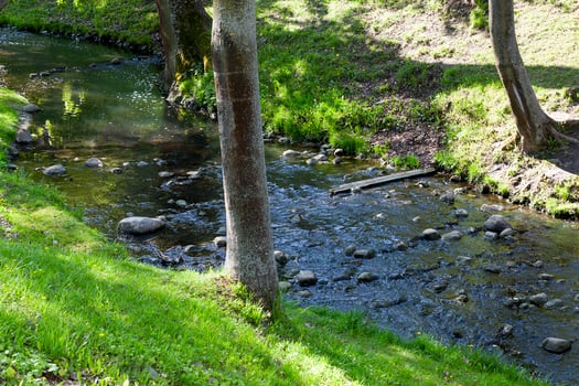 narrow river, close up photo