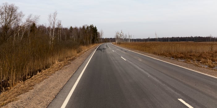 asphalt road and forest photo