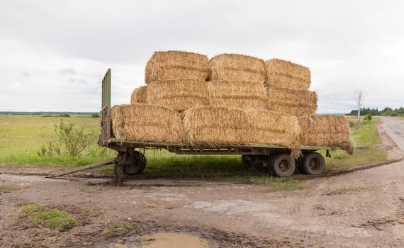 broken trailer, road photo