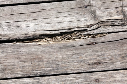 old wooden boards photo