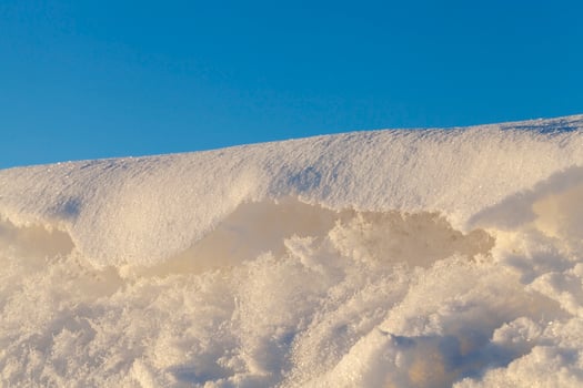 After snowfall, close up photo